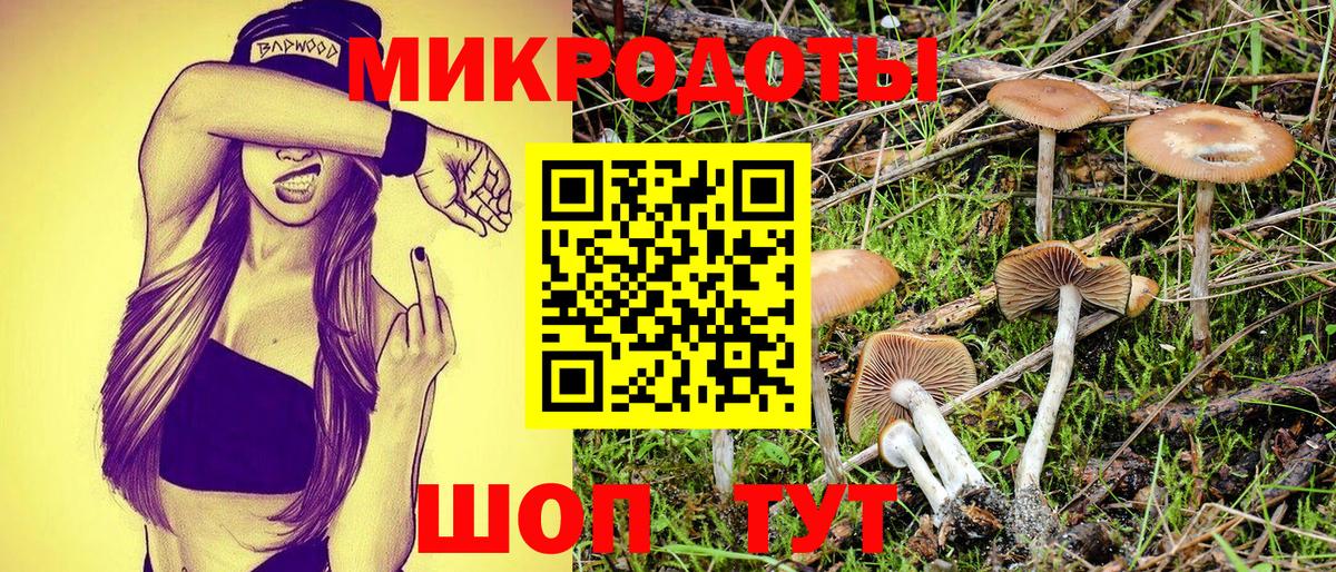 Мурманск  Псилоцибиновые грибы прущие грибы  Псилоцибиновые грибы Psilocybe  Вход с VPN 
