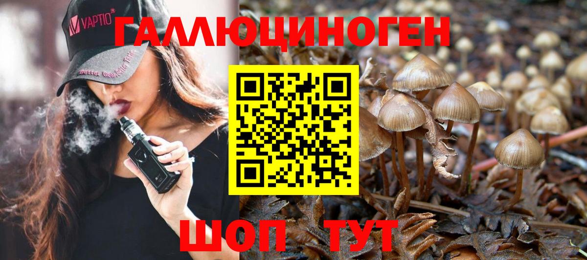 Галлюциногенные грибы мухоморы Мурманск
